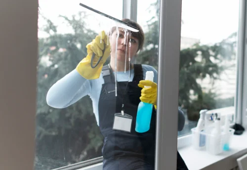 Nettoyage de vitres intérieures et extérieures à Arçay